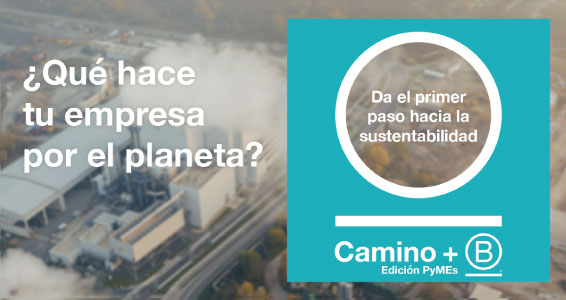 camino_b